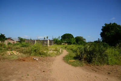 DSC_8326 (Large).JPG